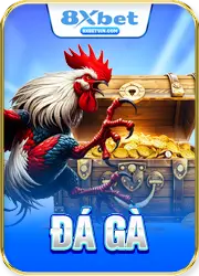 icon đá gà 8xbet